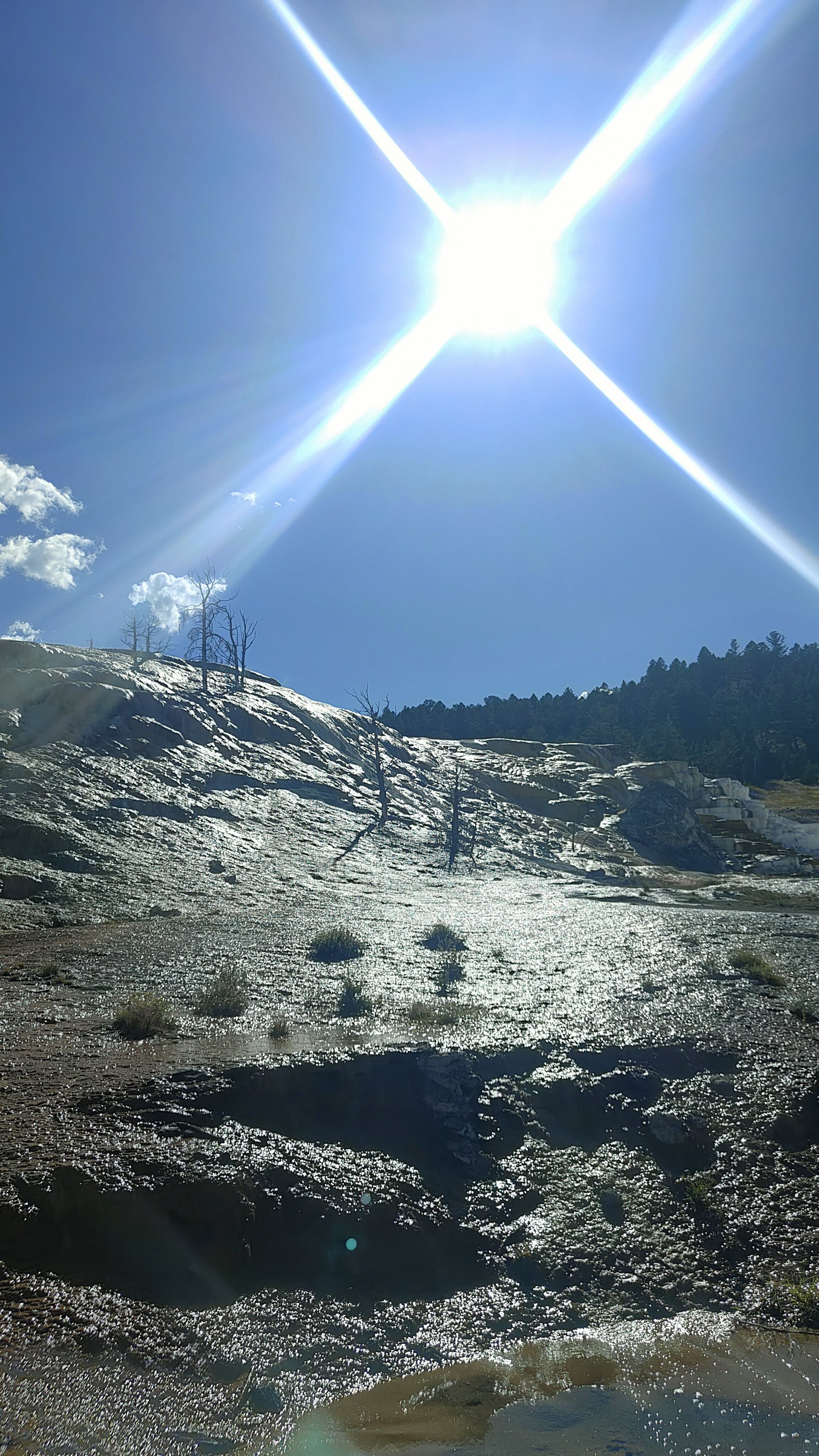Mammoth Hot Springs