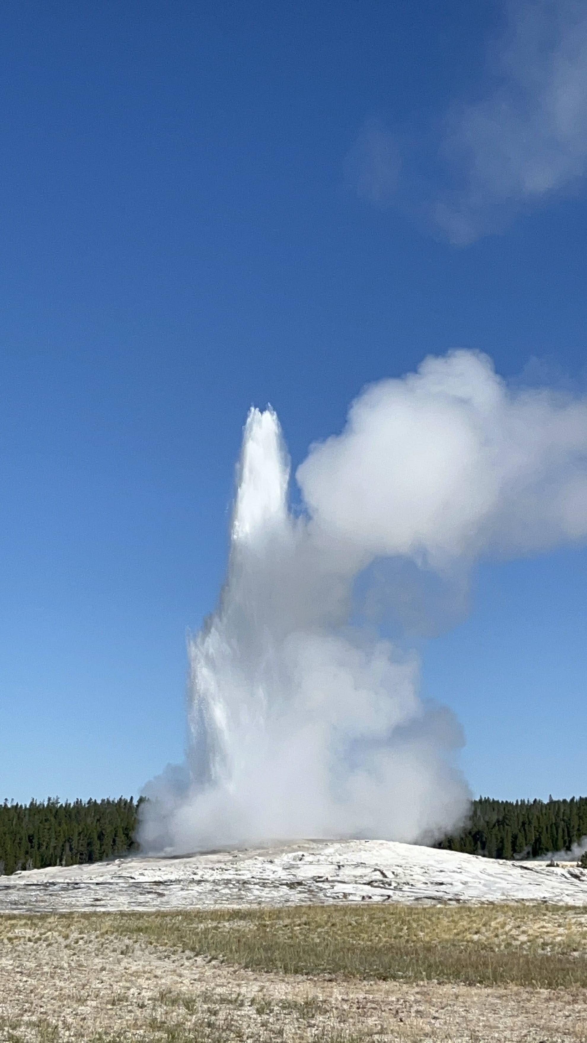 Old Faithful Geyser