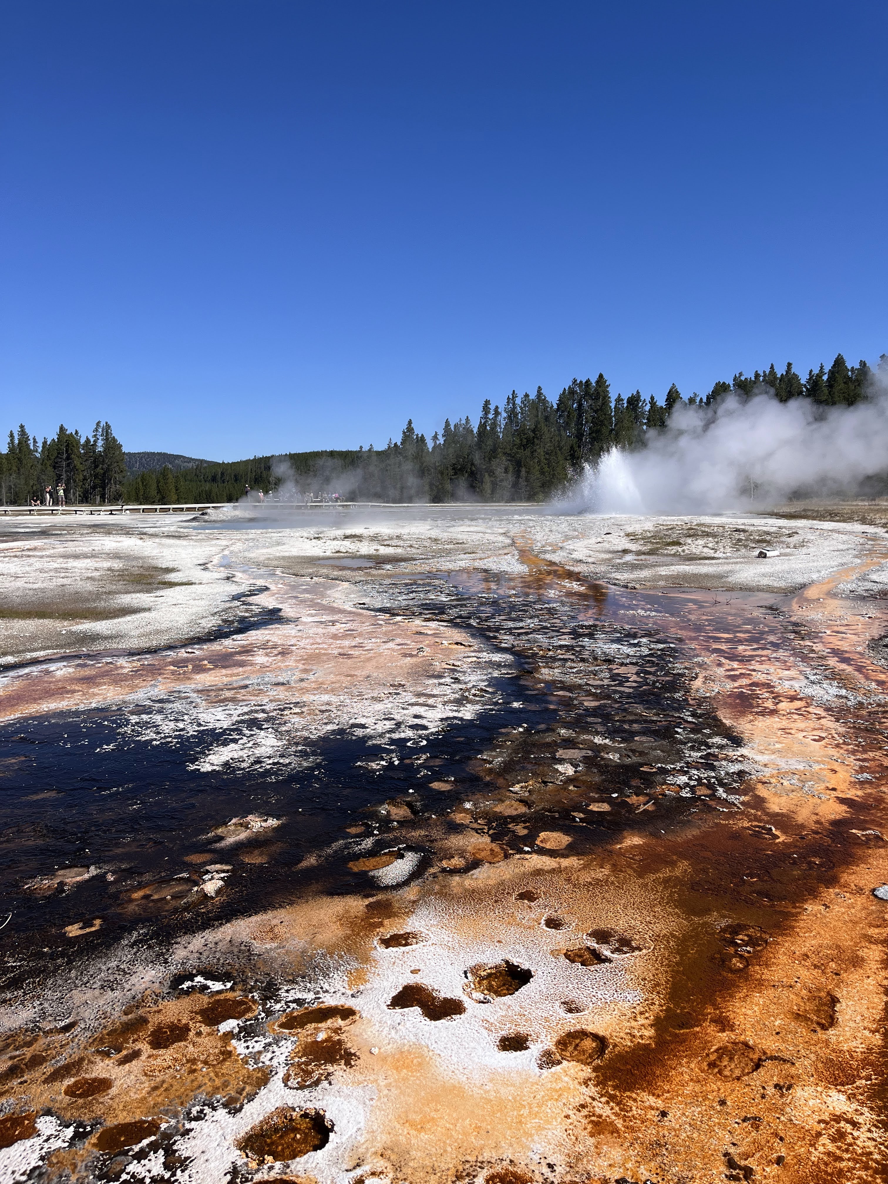 Upper Geyser Basin