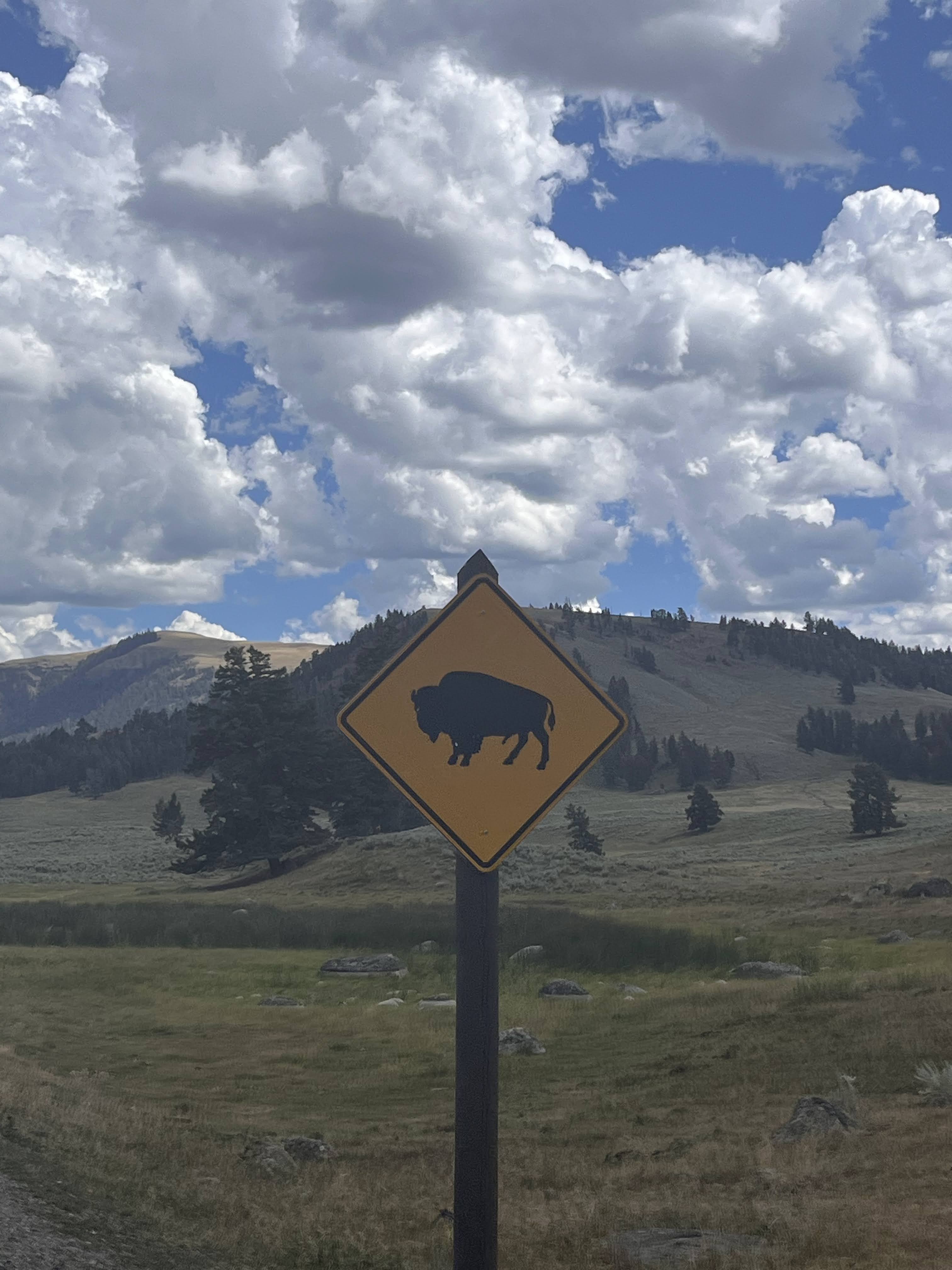 Lamar Valley