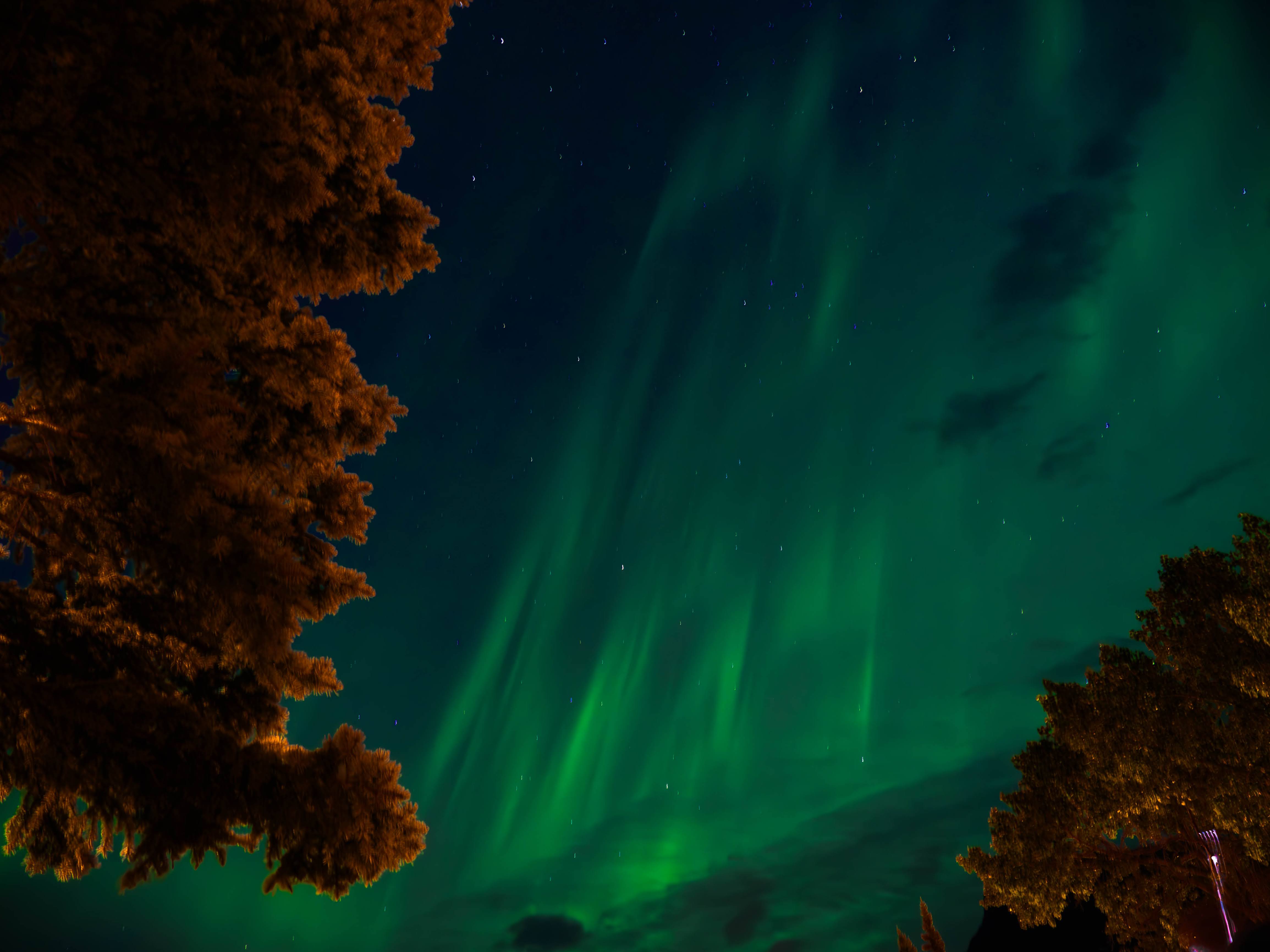 Aurores boréales à Banff