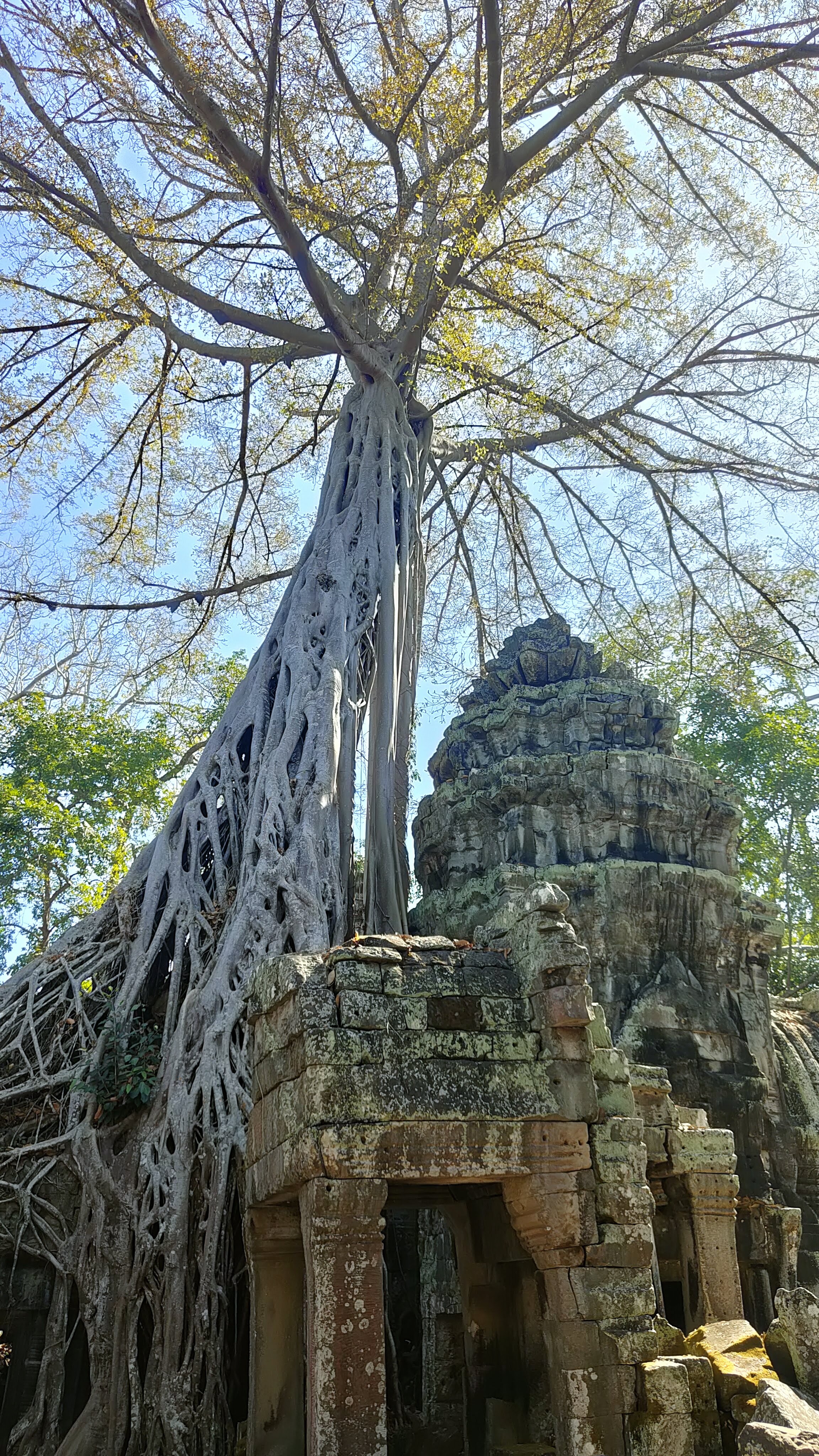 Ta Prohm