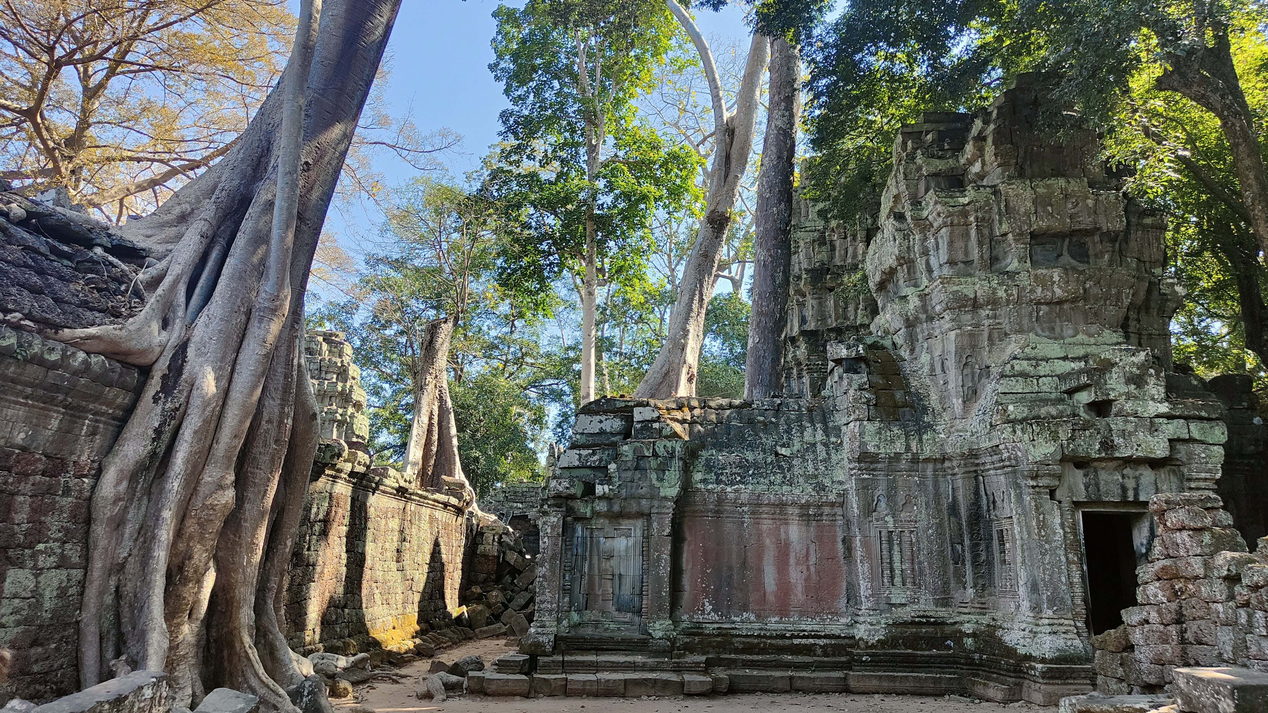 Ta Prohm