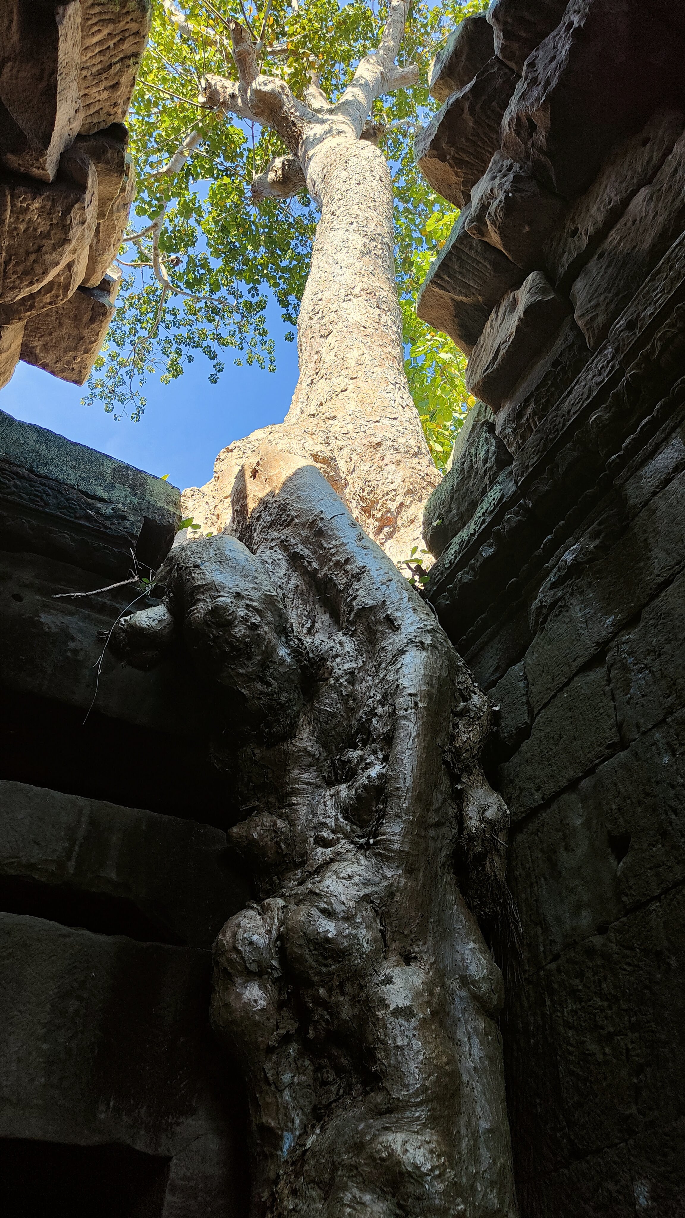 Preah Khan