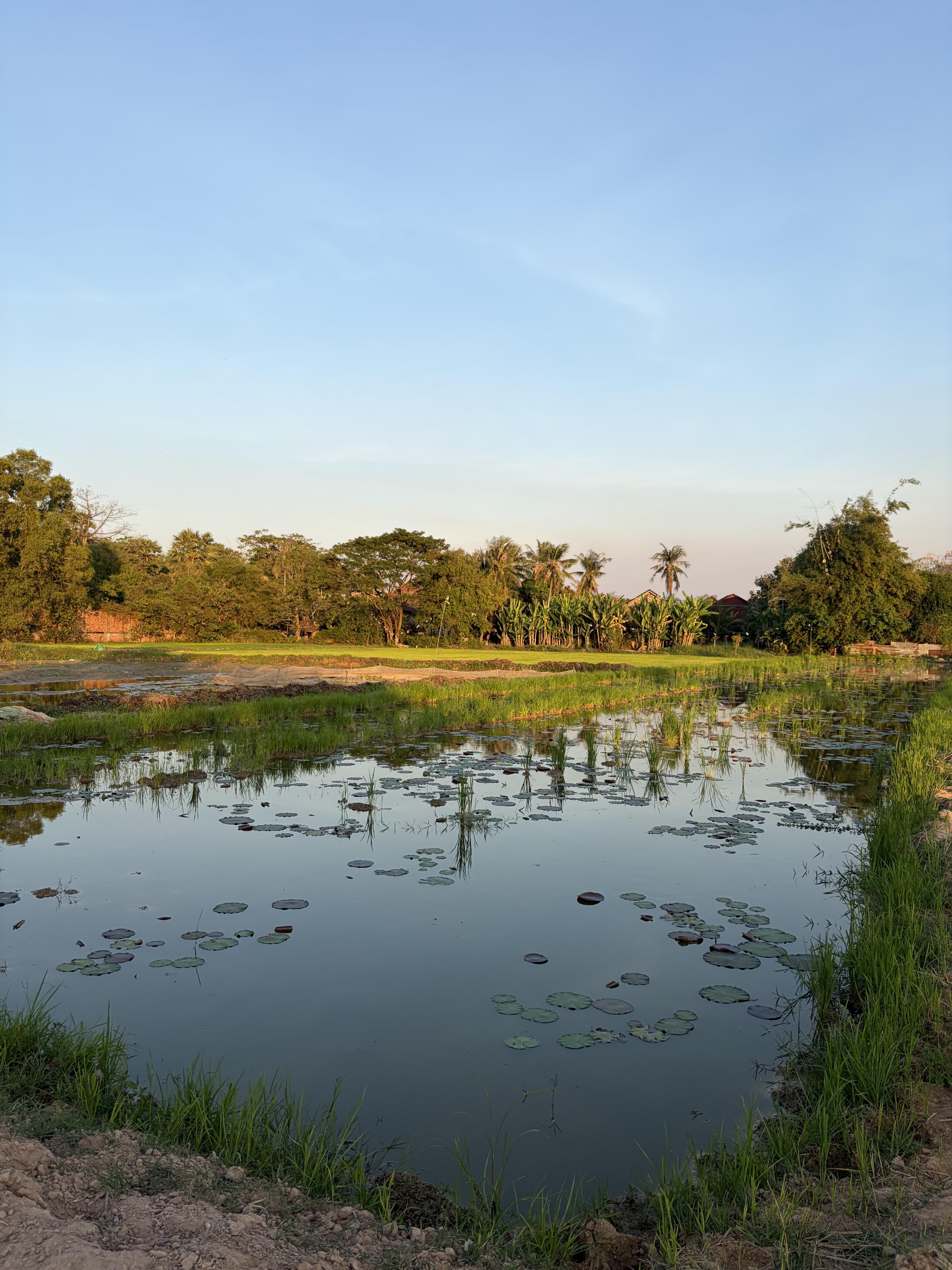 Autour de Siem Reap