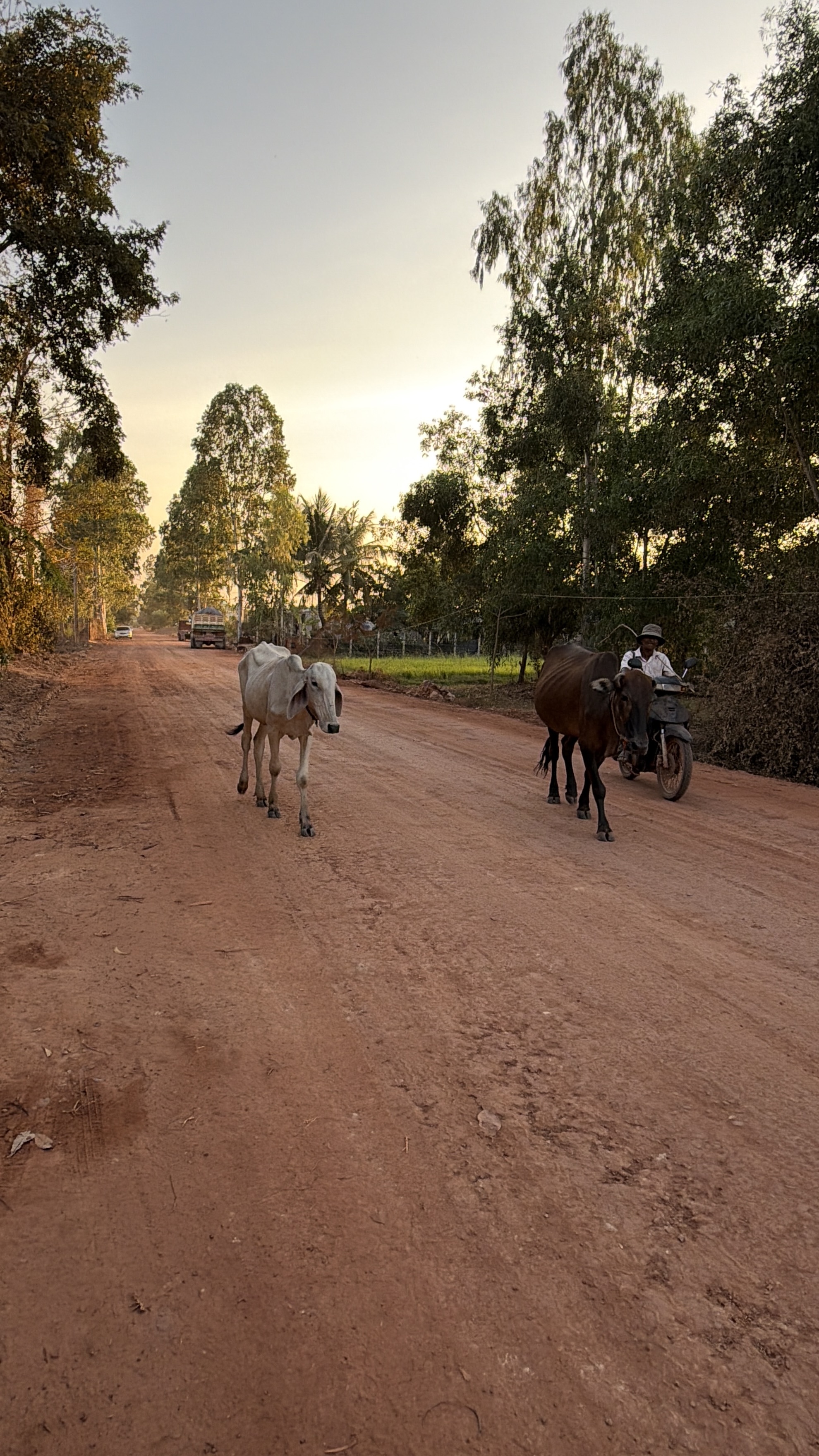 Autour de Siem Reap