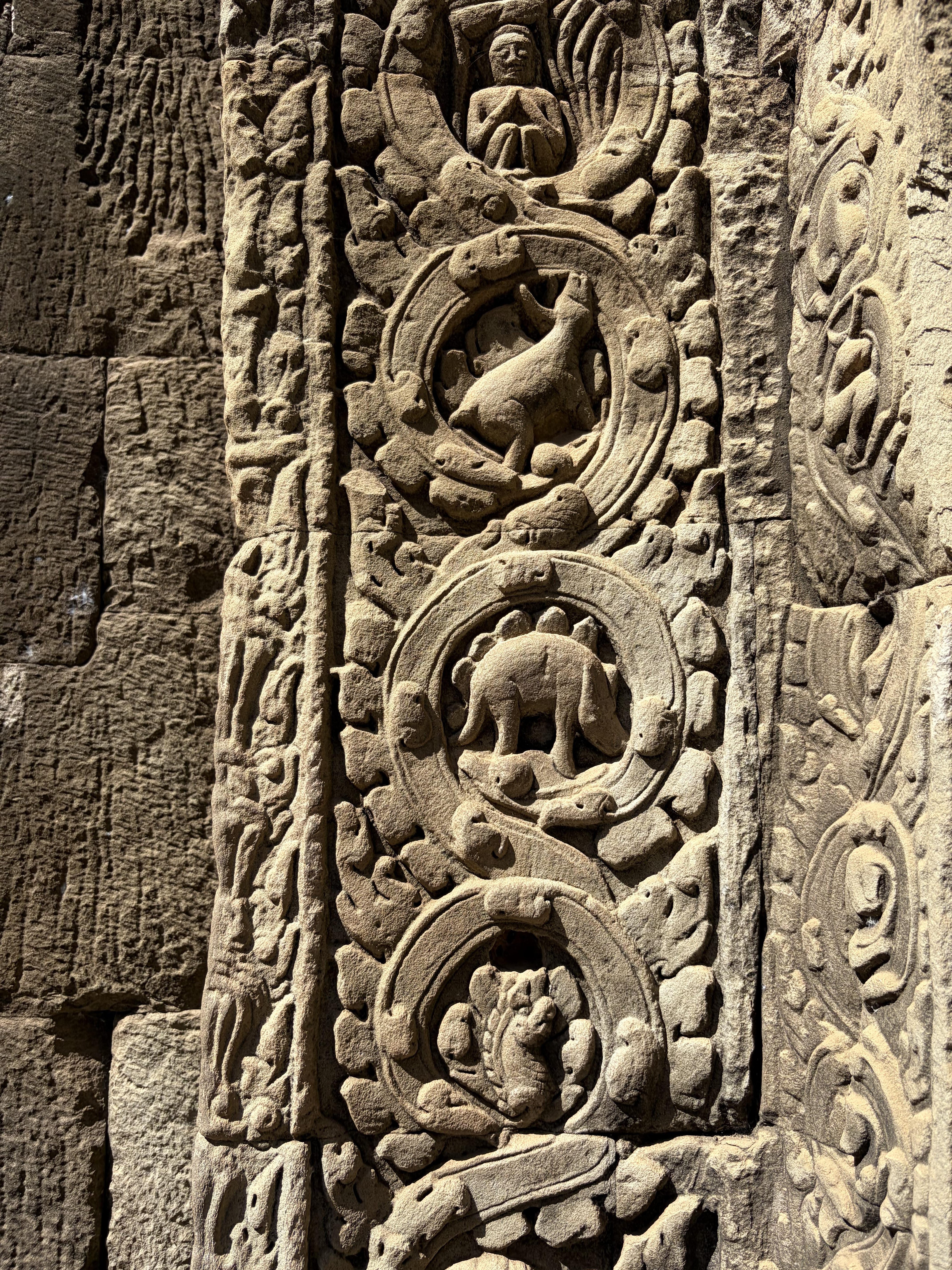 Le dinosaure de Ta Prohm