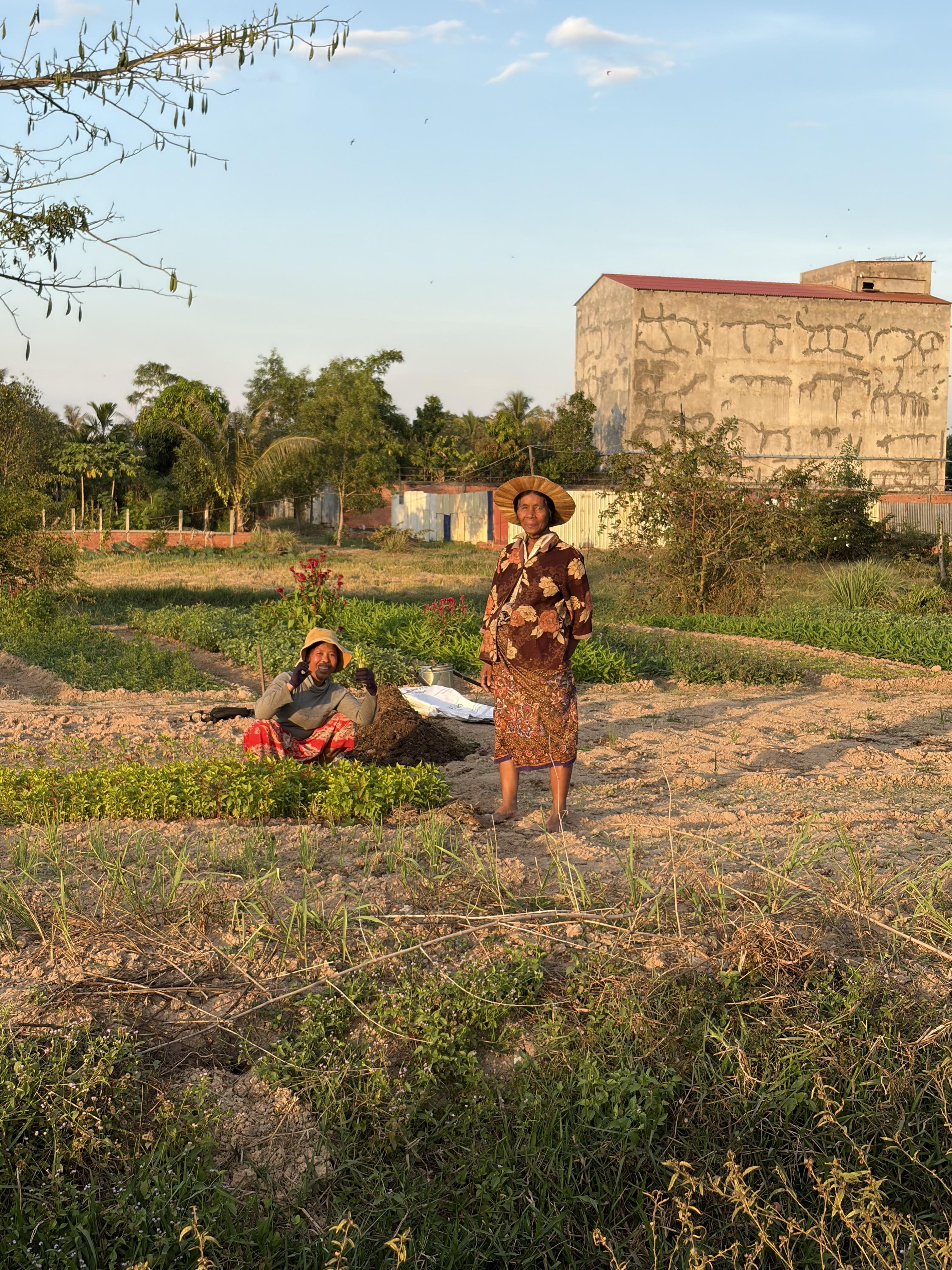 Autour de Siem Reap
