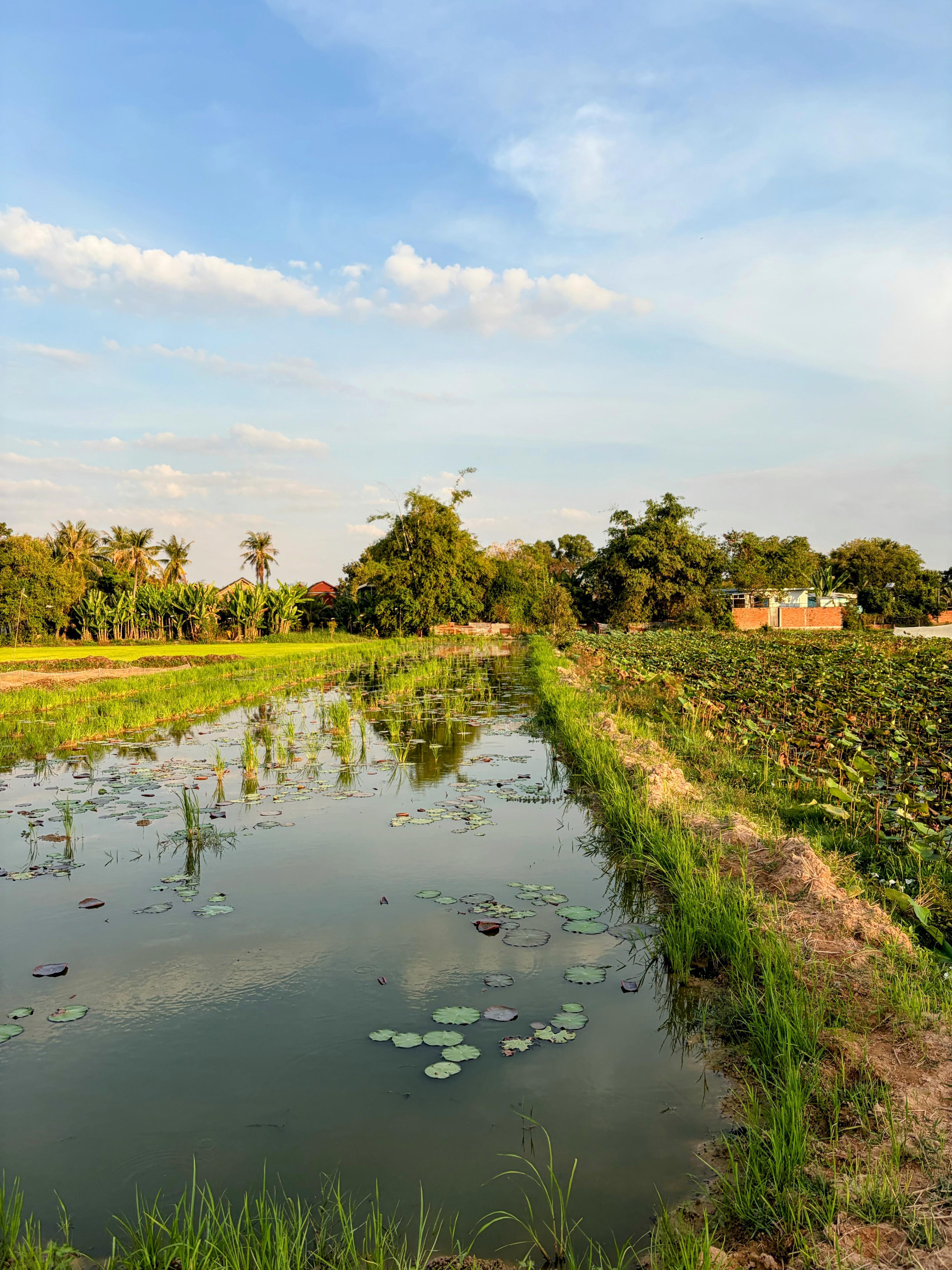 Autour de Siem Reap