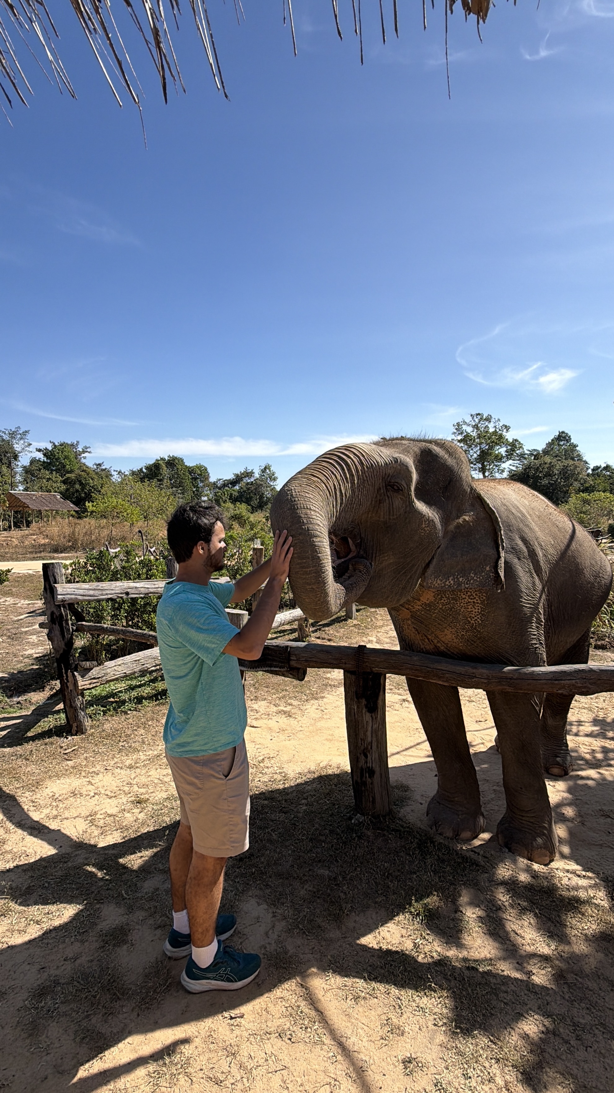 Cambodia Elephant Sanctuary