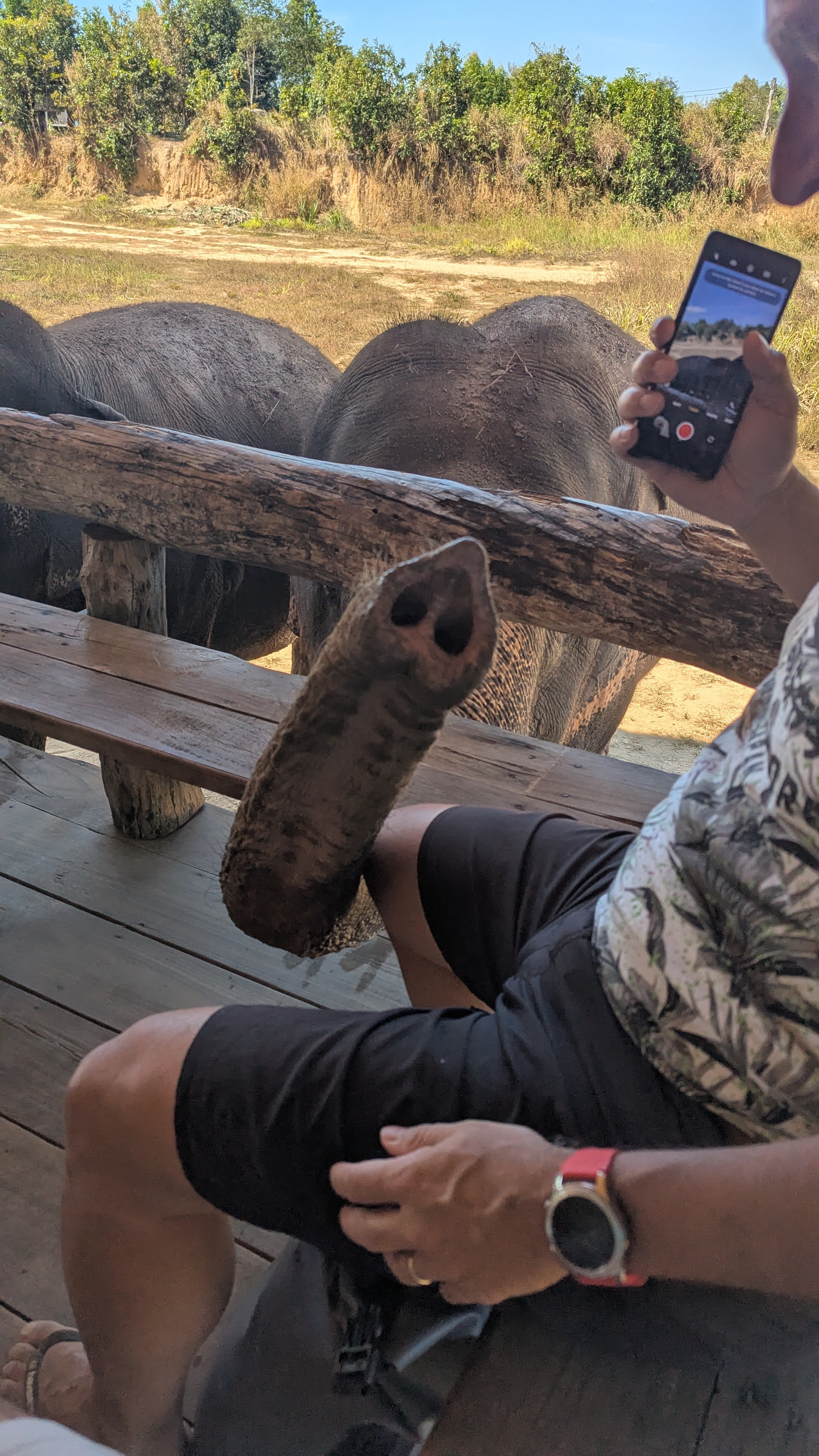 Cambodia Elephant Sanctuary