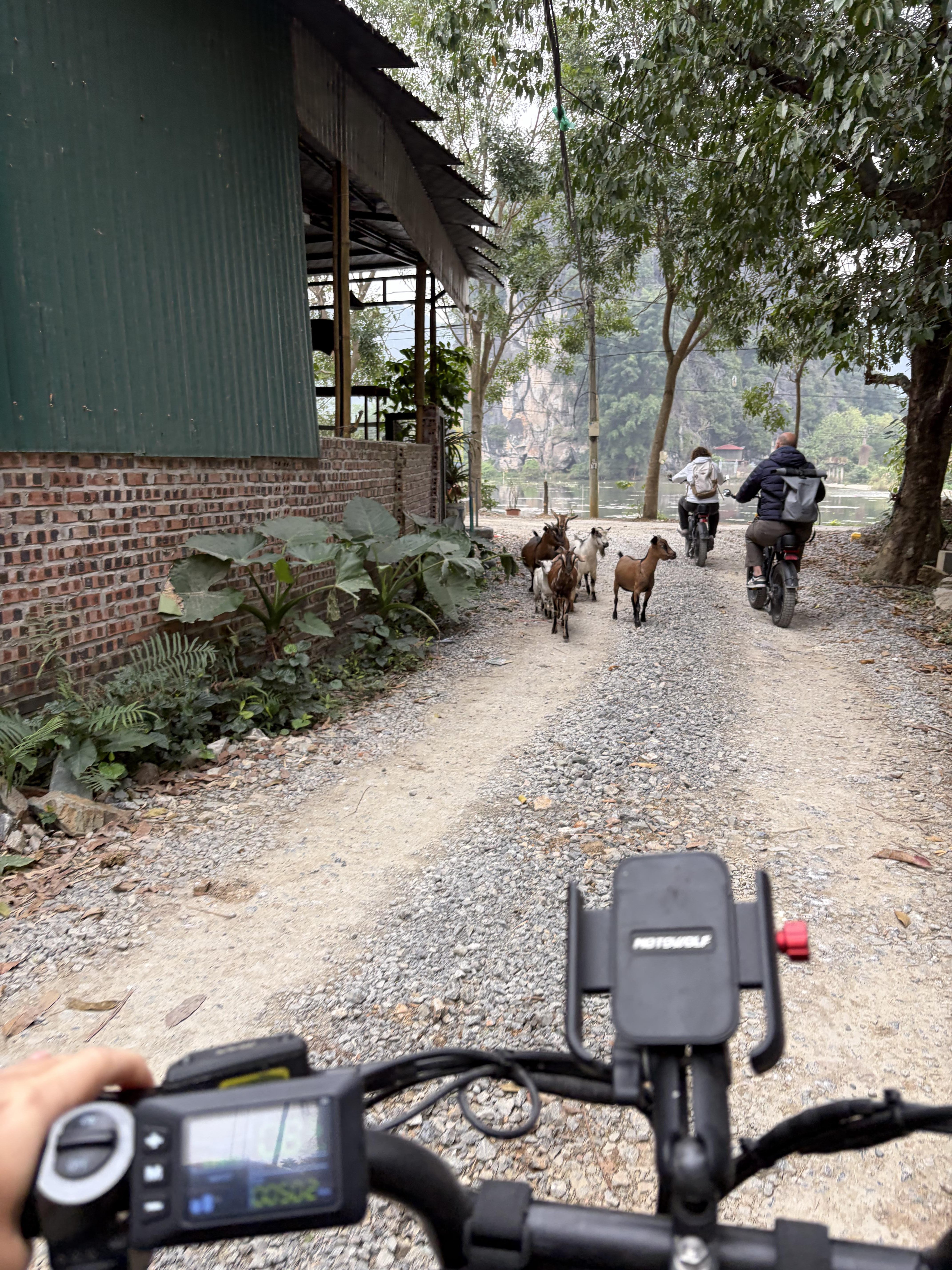 Dans les alentours de Tam Coc